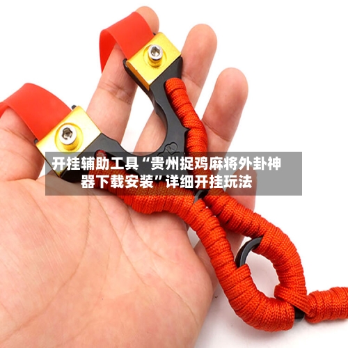 开挂辅助工具“贵州捉鸡麻将外卦神器下载安装	”详细开挂玩法-第2张图片