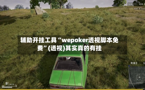 辅助开挂工具“wepoker透视脚本免费	”(透视)其实真的有挂-第2张图片