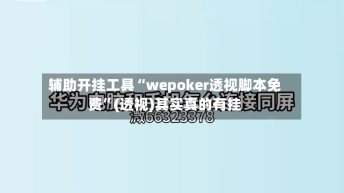 辅助开挂工具“wepoker透视脚本免费”(透视)其实真的有挂-第3张图片