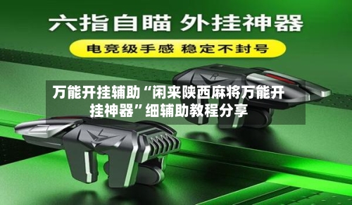 万能开挂辅助“闲来陕西麻将万能开挂神器”细辅助教程分享-第2张图片