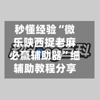 秒懂经验“微乐陕西捉老麻必赢辅助器”细辅助教程分享-第3张图片