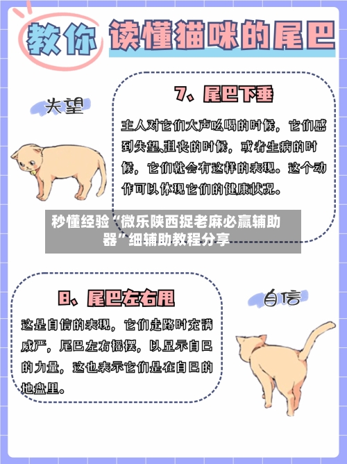 秒懂经验“微乐陕西捉老麻必赢辅助器”细辅助教程分享-第2张图片