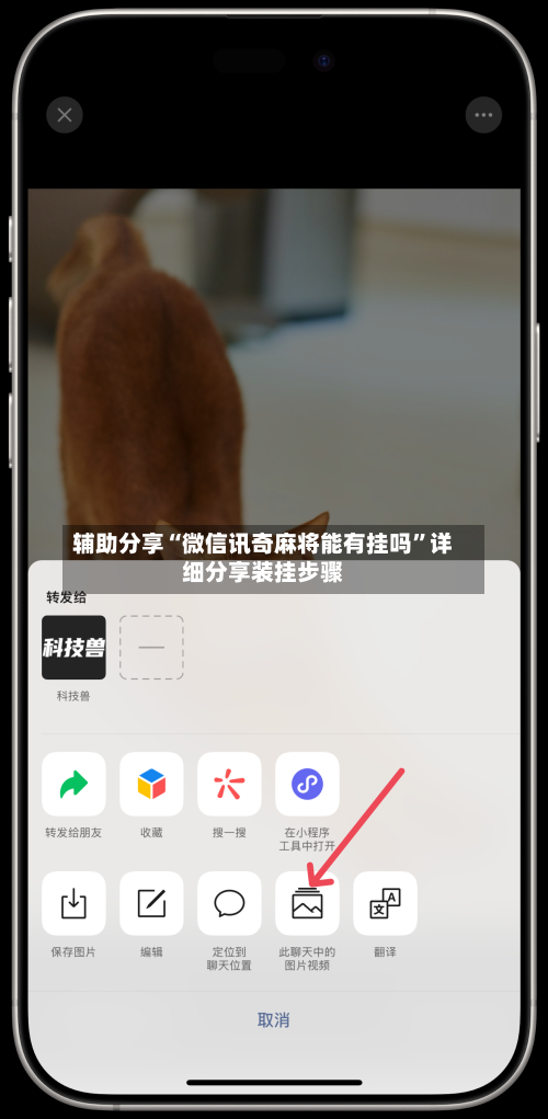 辅助分享“微信讯奇麻将能有挂吗	”详细分享装挂步骤-第2张图片