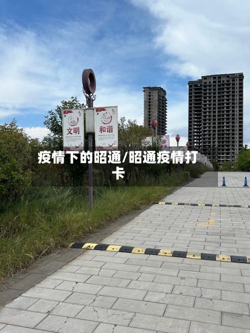 疫情下的昭通/昭通疫情打卡-第2张图片