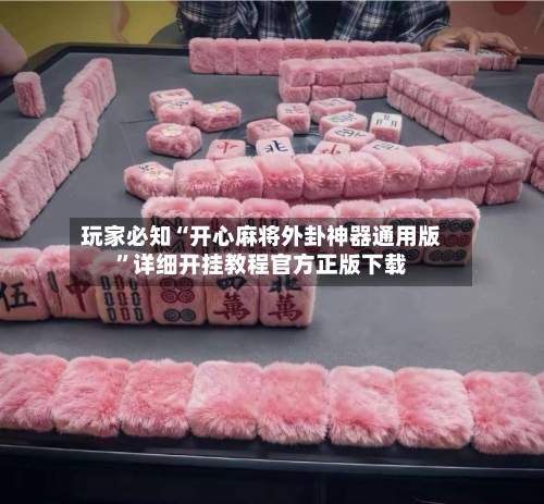 玩家必知“开心麻将外卦神器通用版”详细开挂教程官方正版下载-第2张图片