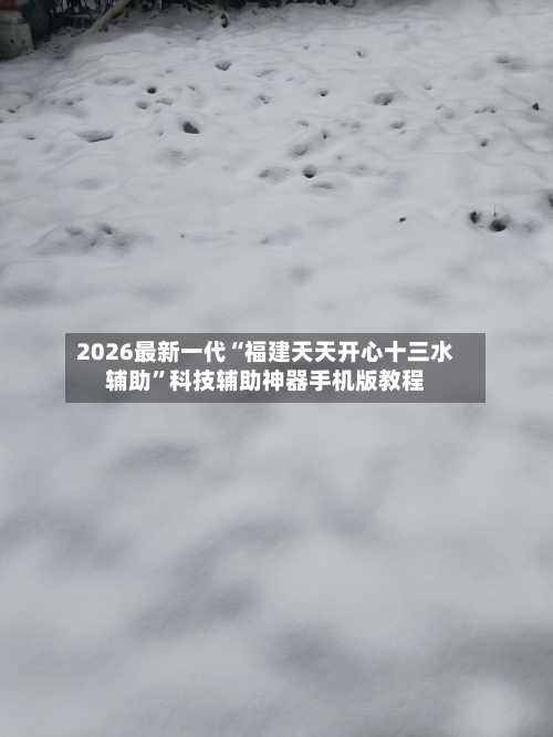 2026最新一代“福建天天开心十三水辅助”科技辅助神器手机版教程-第2张图片