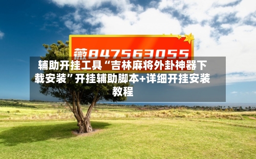 辅助开挂工具“吉林麻将外卦神器下载安装”开挂辅助脚本+详细开挂安装教程-第2张图片