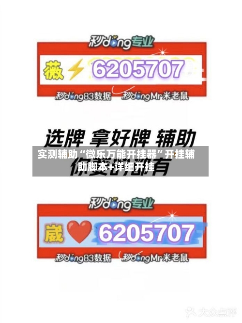 实测辅助“微乐万能开挂器”开挂辅助脚本+详细开挂-第3张图片