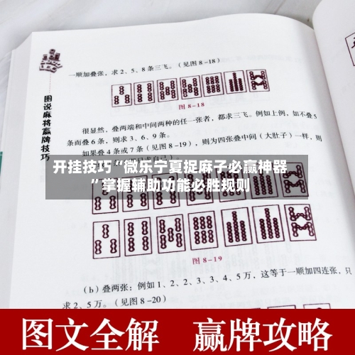 开挂技巧“微乐宁夏捉麻子必赢神器”掌握辅助功能必胜规则