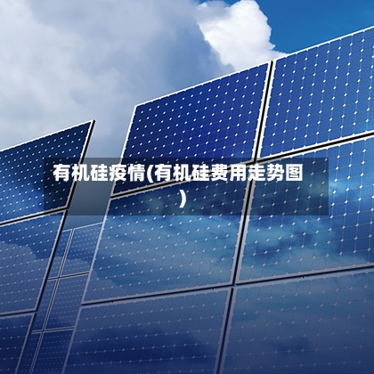 有机硅疫情(有机硅费用走势图)-第2张图片