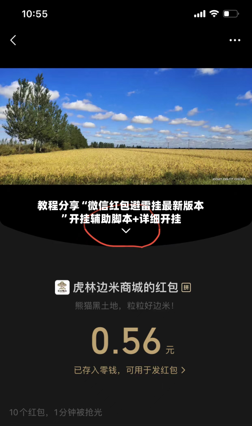 教程分享“微信红包避雷挂最新版本	”开挂辅助脚本+详细开挂-第2张图片