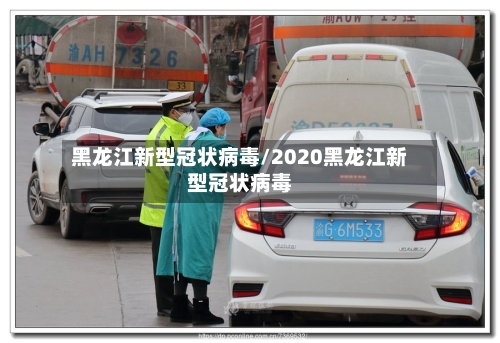 黑龙江新型冠状病毒/2020黑龙江新型冠状病毒