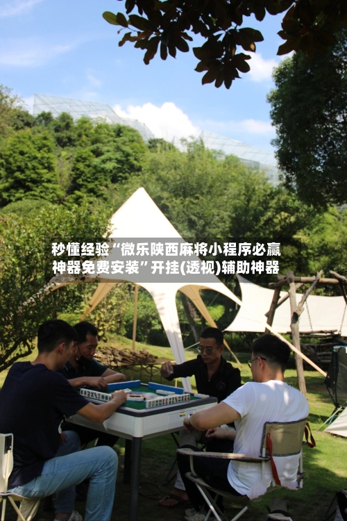 秒懂经验“微乐陕西麻将小程序必赢神器免费安装”开挂(透视)辅助神器-第3张图片