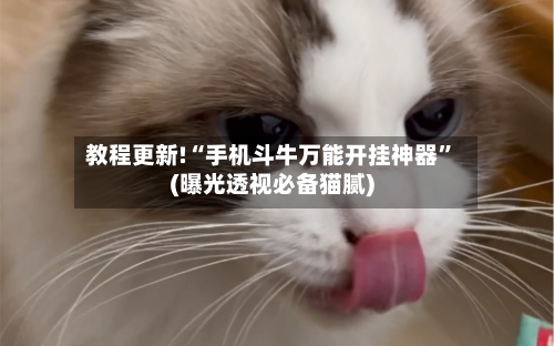 教程更新!“手机斗牛万能开挂神器”(曝光透视必备猫腻)-第3张图片