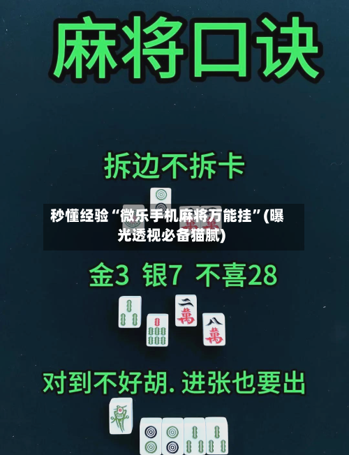 秒懂经验“微乐手机麻将万能挂	”(曝光透视必备猫腻)-第2张图片