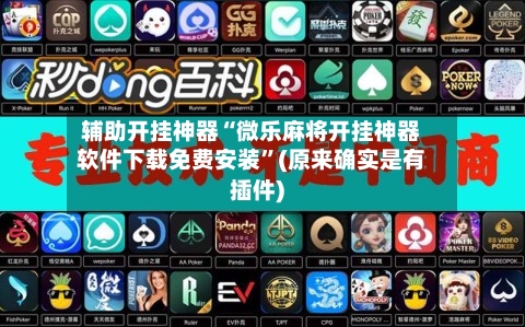 辅助开挂神器“微乐麻将开挂神器软件下载免费安装”(原来确实是有插件)-第3张图片