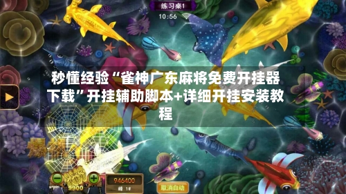 秒懂经验“雀神广东麻将免费开挂器下载”开挂辅助脚本+详细开挂安装教程-第2张图片