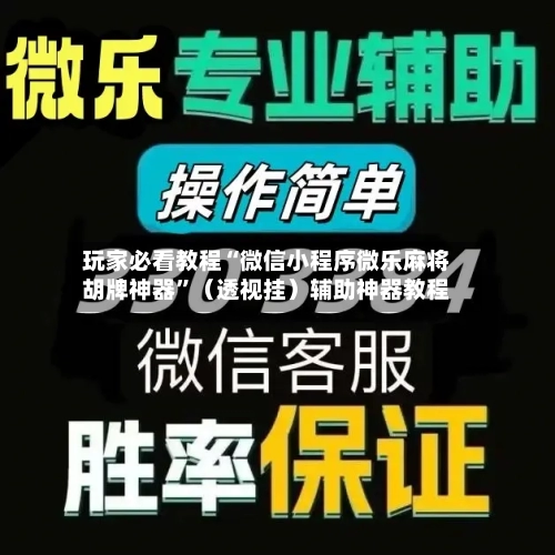 玩家必看教程“微信小程序微乐麻将胡牌神器”（透视挂）辅助神器教程-第2张图片