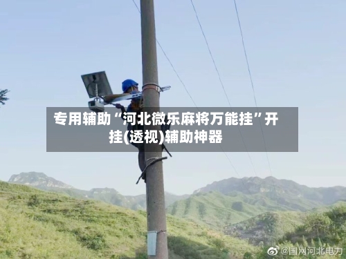 专用辅助“河北微乐麻将万能挂”开挂(透视)辅助神器-第2张图片