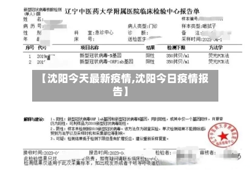 【沈阳今天最新疫情,沈阳今日疫情报告】