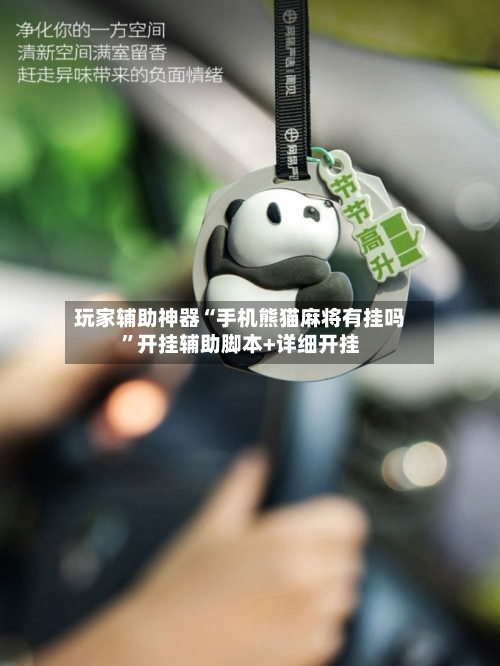 玩家辅助神器“手机熊猫麻将有挂吗”开挂辅助脚本+详细开挂-第2张图片