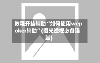 教程开挂辅助“如何使用wepoker辅助”(曝光透视必备猫腻)-第2张图片