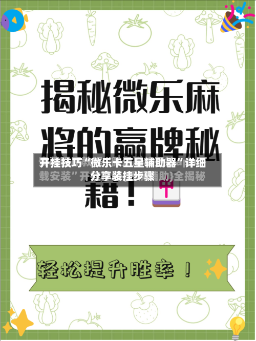 开挂技巧“微乐卡五星辅助器”详细分享装挂步骤-第3张图片