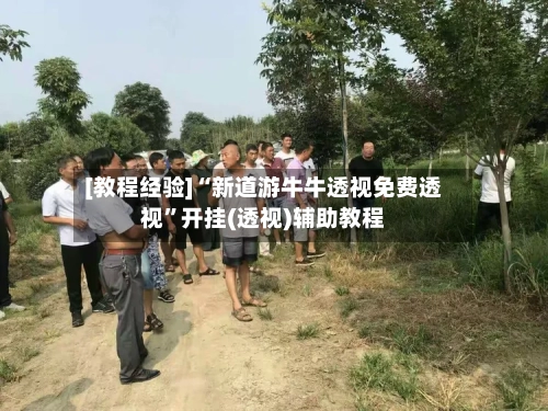 [教程经验]“新道游牛牛透视免费透视	”开挂(透视)辅助教程-第2张图片