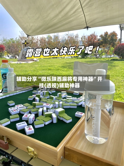辅助分享“微乐陕西麻将专用神器”开挂(透视)辅助神器-第3张图片