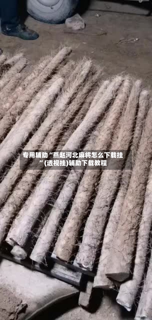 专用辅助“燕赵河北麻将怎么下载挂”(透视挂)辅助下载教程