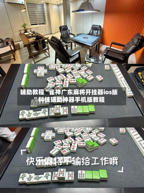 辅助教程“雀神广东麻将开挂器ios版”科技辅助神器手机版教程-第2张图片
