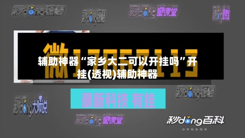 辅助神器“家乡大二可以开挂吗”开挂(透视)辅助神器-第3张图片