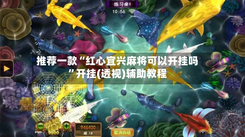 推荐一款“红心宜兴麻将可以开挂吗”开挂(透视)辅助教程