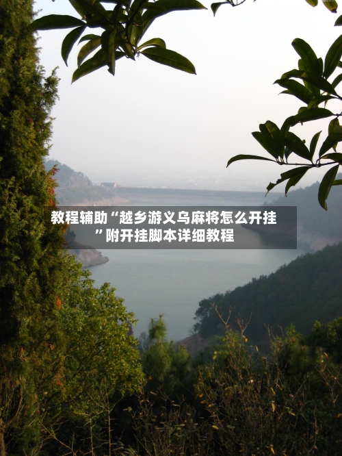 教程辅助“越乡游义乌麻将怎么开挂”附开挂脚本详细教程-第3张图片