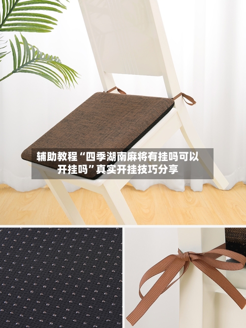 辅助教程“四季湖南麻将有挂吗可以开挂吗”真实开挂技巧分享-第2张图片