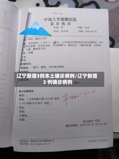 辽宁新增3例本土确诊病例/辽宁新增 3 例确诊病例