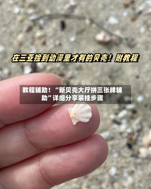 教程辅助！“新贝壳大厅拼三张牌辅助”详细分享装挂步骤-第3张图片