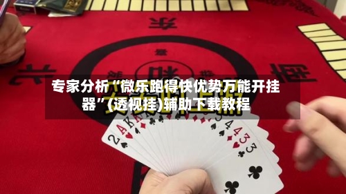 专家分析“微乐跑得快优势万能开挂器”(透视挂)辅助下载教程-第3张图片