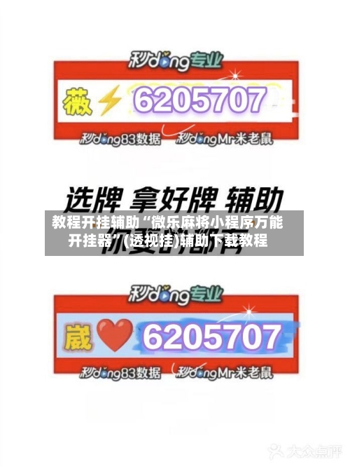 教程开挂辅助“微乐麻将小程序万能开挂器”(透视挂)辅助下载教程-第2张图片