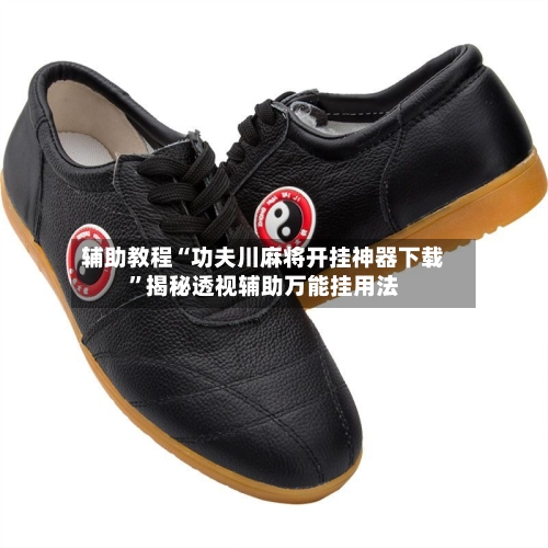 辅助教程“功夫川麻将开挂神器下载”揭秘透视辅助万能挂用法-第3张图片