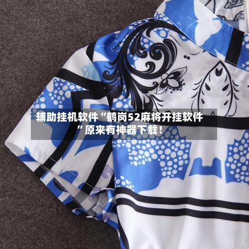 辅助挂机软件“鹤岗52麻将开挂软件”原来有神器下载！-第2张图片