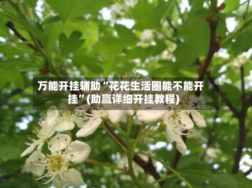 万能开挂辅助“花花生活圈能不能开挂”(助赢详细开挂教程)
