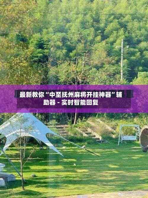 最新教你“中至抚州麻将开挂神器”辅助器 - 实时智能回复-第2张图片