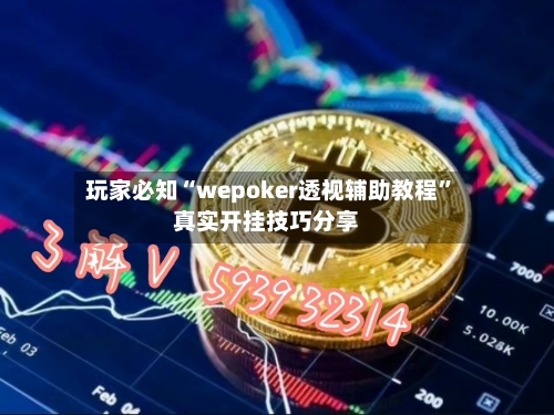 玩家必知“wepoker透视辅助教程”真实开挂技巧分享-第3张图片