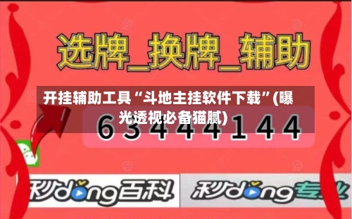 开挂辅助工具“斗地主挂软件下载	”(曝光透视必备猫腻)-第2张图片