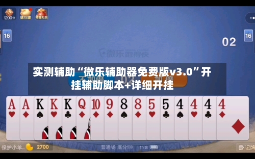 实测辅助“微乐辅助器免费版v3.0”开挂辅助脚本+详细开挂-第2张图片