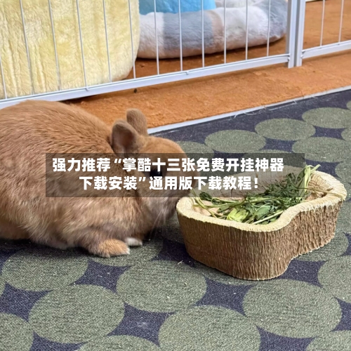 强力推荐“掌酷十三张免费开挂神器下载安装”通用版下载教程！-第3张图片