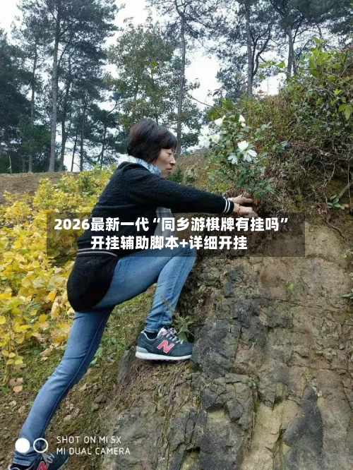 2026最新一代“同乡游棋牌有挂吗”开挂辅助脚本+详细开挂-第2张图片