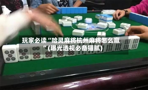 玩家必读“哈灵麻将杭州麻将怎么赢	”(曝光透视必备猫腻)-第2张图片