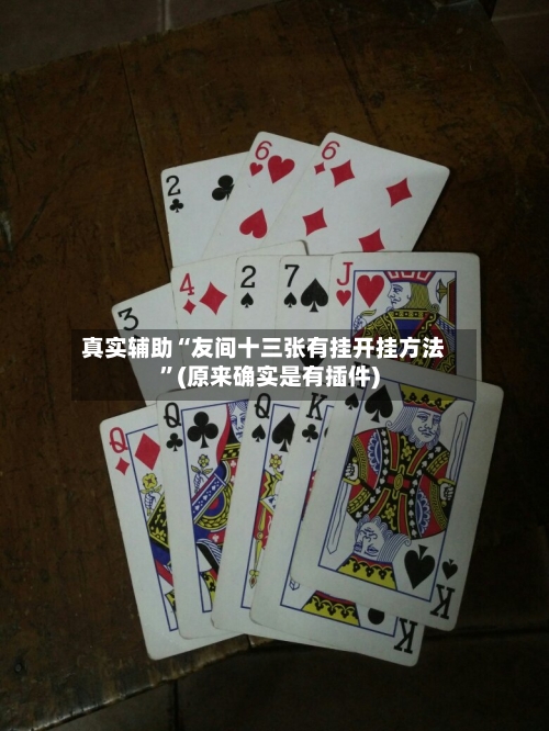 真实辅助“友间十三张有挂开挂方法	”(原来确实是有插件)-第2张图片